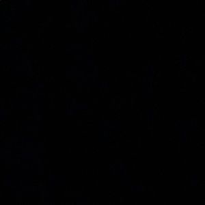 Meet your Posher, Lucy